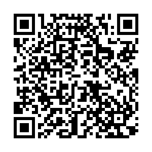 Código QR para contacto rápido vía WhatsApp